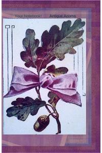 Your Notebook! Antique Acorns