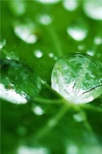 Leaf Dew Journal