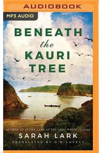 Beneath the Kauri Tree