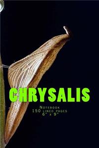 Chrysalis