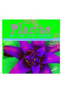 Plants of the Rain Forest