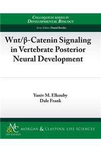 Wnt/ -Catenin Signaling in Vertebrate Posterior Neural Development