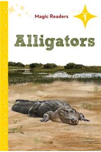 Alligators: Level 1