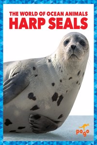 Harp Seals