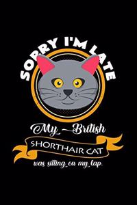 Sorry I'm late my british shorthair cat was on my lap