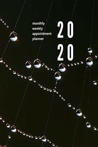2020 Monthly Weekly Appointment Planner