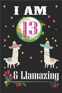 I Am 13 And Llamazing