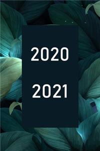 2020 / 2021