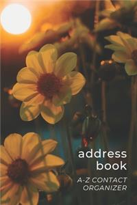 Address Book