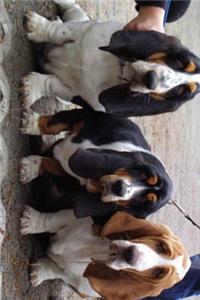 Cute Basset Hound Dog Trio Journal