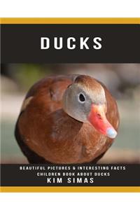 Ducks