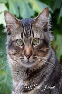 My Cat Journal