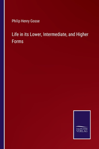 Life in its Lower, Intermediate, and Higher Forms