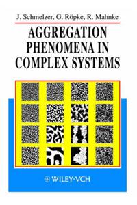 Aggregation Phenomena in Complex Systems