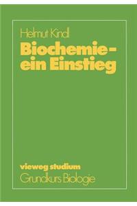 Biochemie -- Ein Einstieg
