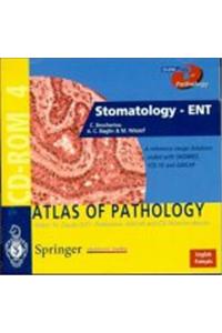 Stomatology - Ent