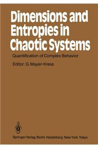 Dimensions and Entropies in Chaotic Systems