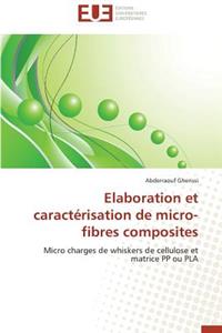 Elaboration Et Caractérisation de Micro-Fibres Composites
