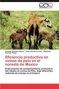 Eficiencia productiva en ovinos de pelo en el noreste de Mexico