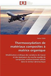 Thermooxydation de Matériaux Composites À Matrice Organique