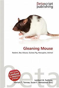 Gleaning Mouse