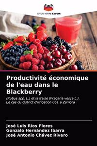 Productivité économique de l'eau dans le Blackberry