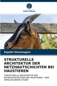 Strukturelle Architektur Der Netzhautschichten Bei Haustieren
