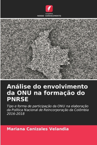 Análise do envolvimento da ONU na formação do PNRSE
