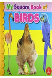 My Square Board Book - Birds
