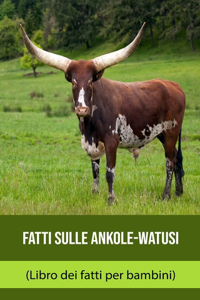 Fatti sulle Ankole-Watusi (Libro dei fatti per bambini)