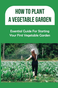 How To Plant A Vegetable Garden