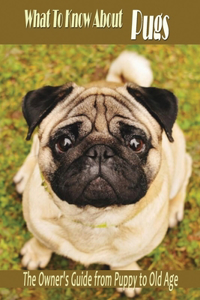 What To Know About Pugs