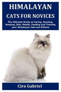 Himalayan Cats for Novices