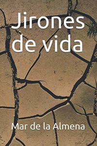 Jirones de vida
