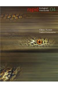 China: Yunnan, Southern Gaoligongshan