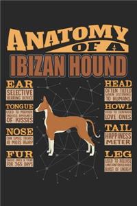Anatomy Of A Ibizan Hound