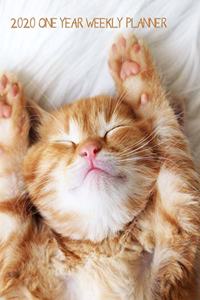 2020 One Year Weekly Planner