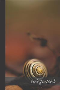 Vintage Snail