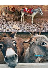 Donkey Sketch Book