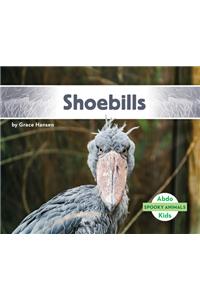 Shoebills