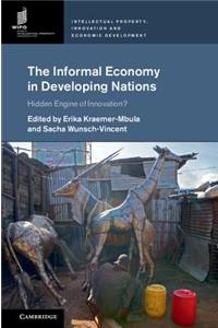 Informal Economy in Developing Nations