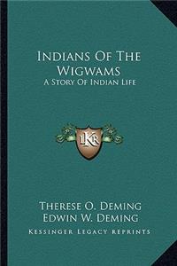 Indians Of The Wigwams