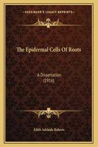 The Epidermal Cells Of Roots