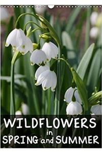 Wildflowers in Spring and Summer 2018