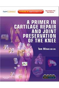 A Primer in Cartilage Repair and Joint Preservation of the Knee