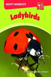 Mighy Minibeasts Ladybirds