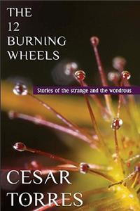 12 Burning Wheels