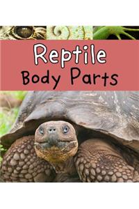 Reptile Body Parts