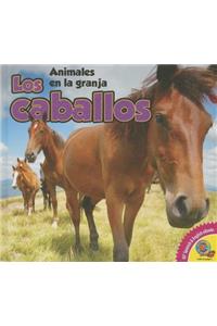Los Caballos