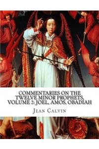 Commentaries on the Twelve Minor Prophets, Volume 2